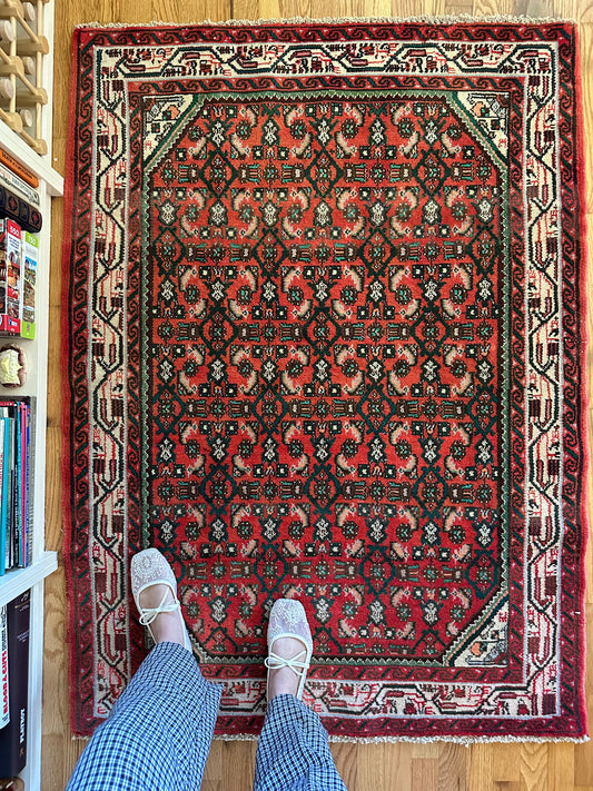 Coral & Juniper Lattice Rug - 3'7" x 5' Persian Bijar