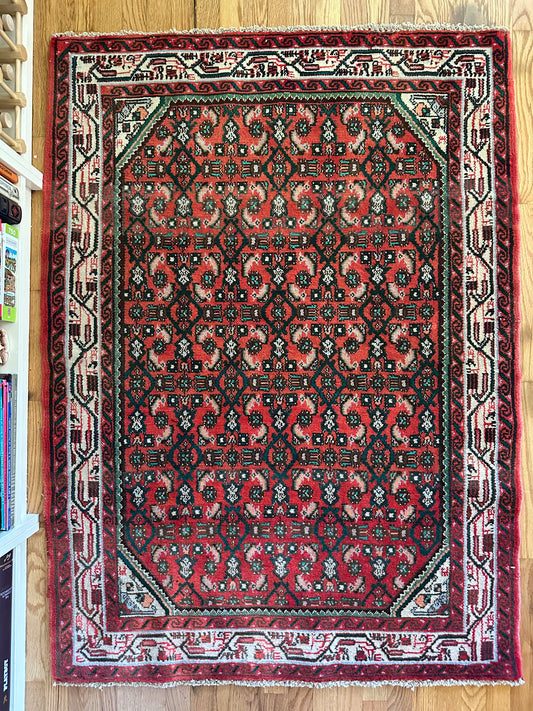 Coral & Juniper Lattice Rug - 3'7" x 5' Persian Bijar